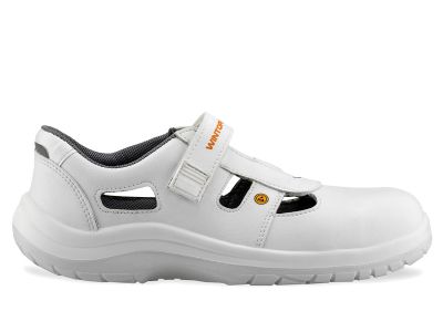 ESD OMEGA LUX S1 f.10 V440 035
